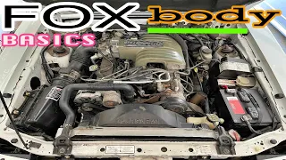 Fox Body fundamentals, what are they, and what do they do?