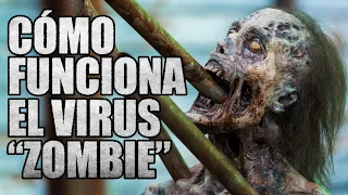 The Walking Dead: ¿Cómo funciona EXACTAMENTE el virus Wildfire? | Explicación