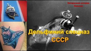 Дельфиний спецназ СССР