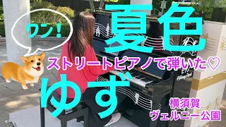 【ストリートピアノ】ゆず♪夏色が弾きたくて…ここに。