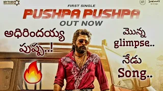 Pushpa Pushpa  Song Review | Pushpa 2 The Rule | Icon Star Allu Arjun | Sukumar B | Devi Sri Prasad