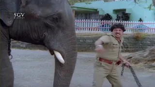 Dr. Vishnuvardhan Beats Elephant Without Knowing The Truth | Jayasimha Kannada Movie Scene