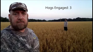Saving the Oats: Thermal Hog Hunting Success Story - BosqueHogs