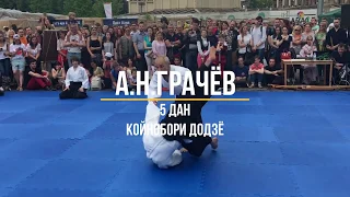 Aikido. Grachev Alexandr 5th Dan AIKIKAI