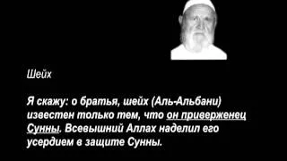 Шейх Мукбиль ибн Хади: Шейх Аль-Альбани мурджиит?