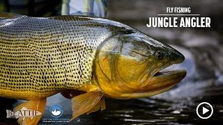 Full Film — Fishing for Golden Dorado in the Bolivian Jungle in JUNGLE ANGLER