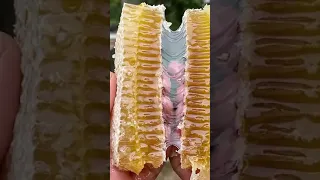 ASMR RAW HONEYCOMB, HONEY JELLY 벌집꿀, 꿀젤리 먹방 咀嚼音ハチの巣 ハニカム EATING SOUNDS NO TALKING MUKBANG 21Cooking