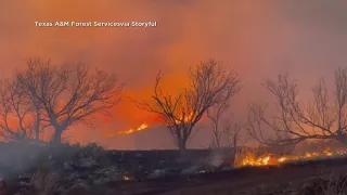 Wildfires burn in Texas Panhandle