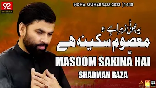 Ye Choti  Zehra Hai Masoom Sakina Hai | Shadman Raza | New Noha 2023 - 1445