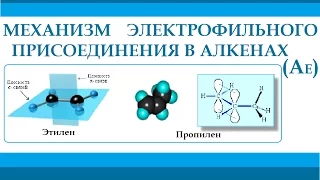 Алкены. Механизм реакции электрофильного присоединения.