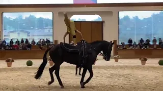 Volteggio Equestre, Giorgia Fanucci si laurea campionessa italiana