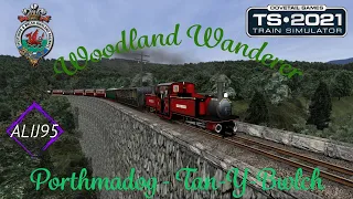 Train Simulator 2021 - Ffestiniog Woodland Wanderer