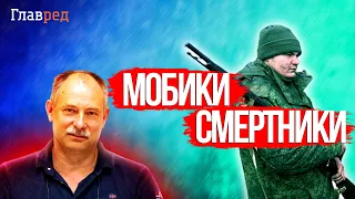 ⚡ Жданов о МОБИЛИЗАЦИИ в РФ: первая волна – это 100% смертники!