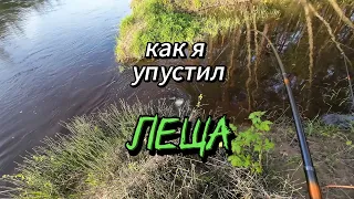 Как я упустил Леща