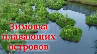 Зимовка плавающих островов