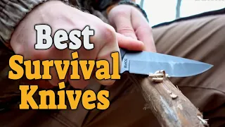 Best Survival Knives 2021 - Top 5 Survival Knife Picks For Your Money