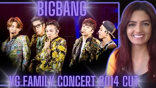 BIGBANG - YG FAMILY CONCERT CUT 2014! WATCH-WITH-ME!