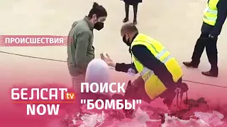 Видео обыска самолета Ryanair в Минске