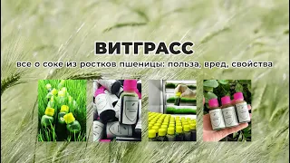 Витграсс. Все о соке из ростков пшеницы: польза, вред, свойства - Отвечариум