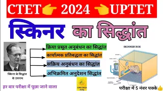 #स्किनर का सिद्धांत ।CTET EXAM 2024। शिक्षा मनोविज्ञान(Educational Psychology) #GURU #CHELA #study