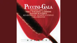 Puccini: Madama Butterfly / Act 2 - Un bel dì vedremo