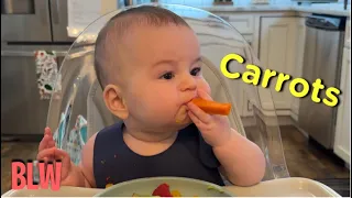 Maverick tries Carrots - Baby Led Weaning