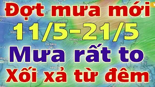 Dự báo thời tiết hôm nay và ngày mai 12/5/2024 | dự báo bão mới nhất | thời tiết 3 ngày tới