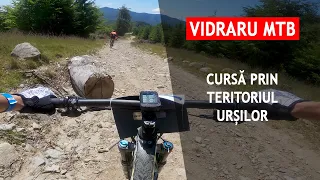 Vidraru MTB 2022 - Cursa prin teritoriul ursilor