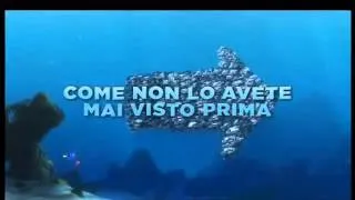 Alla Ricerca di Nemo 3D_ Trailer ita