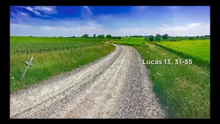 Lc. 13, 31-35 - Evangelio del día - Padre Luis Zazano