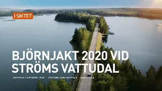 Björnjakt 2020 vid Ströms Vattudal