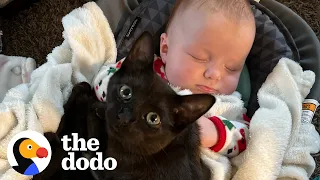 Kitten Gets Caught On Baby Cam Sneaking Into Her Sister's Crib For A Snuggle | The Dodo Soulmates