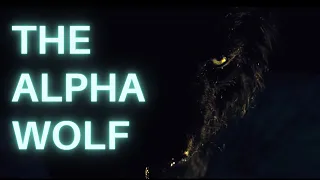 The Alpha Wolf | The Grey (Film Analysis)
