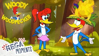 Woody's Birthday Bash 🥳 | Woody Woodpecker | Full Episodes | Mega Moments