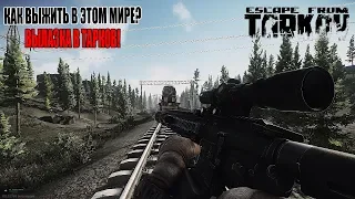 🎮Escape from Tarkov●В ЭТОЙ ИГРЕ МОЖНО ЧИТЕРИТЬ?!