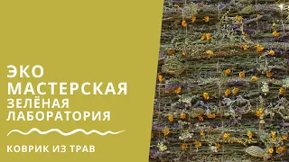Коврик из трав и полевых цветов, Юлия Зеленина