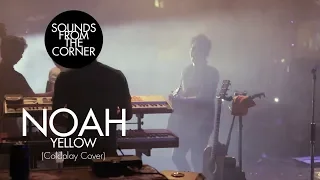 NOAH - Yellow (Coldplay Cover) | Sounds From The Corner Live #4