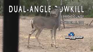 Close Doe - Reverse Angle Shot Video!