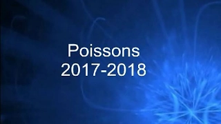 Poissons 2017-2018