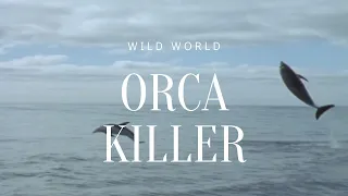 killer orcs | documentary