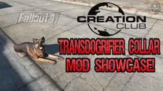 Fallout 4 -  TransDogrifier Collar Creation Club Mod Showcase! (XB1)