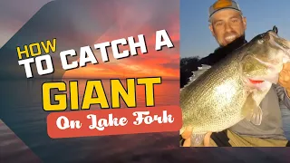 What to use to catch giants on Lake Fork.