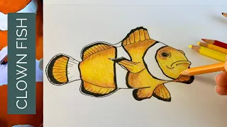 How to draw a realistic CLOWN FISH step by step