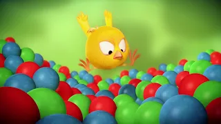 Where's Chicky? Funny Chicky 2022 🔴🟢🔵 BALL POOL |  Cartoon in English for Kids | New episodes