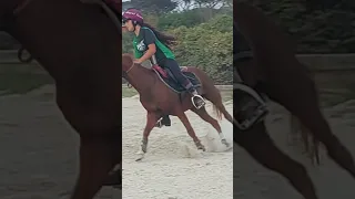 Hoopla (con coccarda!) Pony Mounted Games #mountedgames #horseriding #viral #training #ponygames