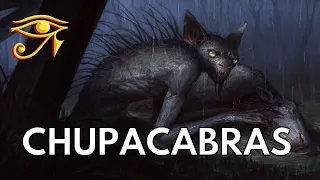 Chupacabras | Vampiric Cryptids of Latin America