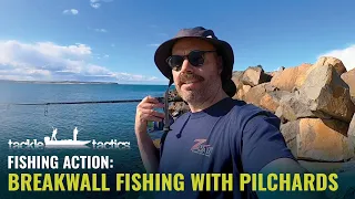 Breakwall Fishing with Pilchards for Tailor, Australian Salmon and Flathead