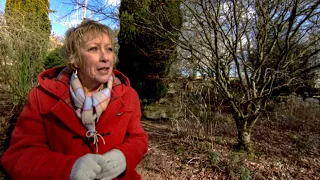 Life in a Cottage Garden with Carol Klein 2022🍀Series 1 - Winter