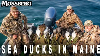 Sea Duck Hunting in Maine | The Waterfowl Collective