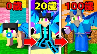 【マイクラ】すまないドラゴンとして100歳になったら死ぬ世界【マインクラフト 】【まいくら】